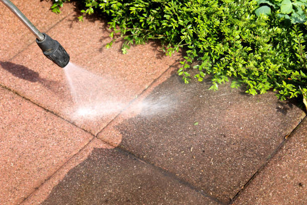 Best Exterior Home Cleaning  in White Mountain Lake, AZ